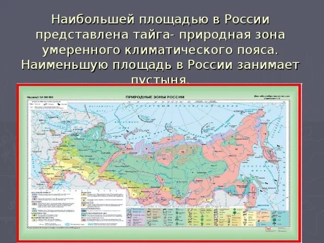 Наибольшая площадь природной зоны в россии. Площадь территории России занимает природная зона. Природная зона которая занимает наибольшую площадь России. Природные зоны России климатические пояса России. Площадь территории России.