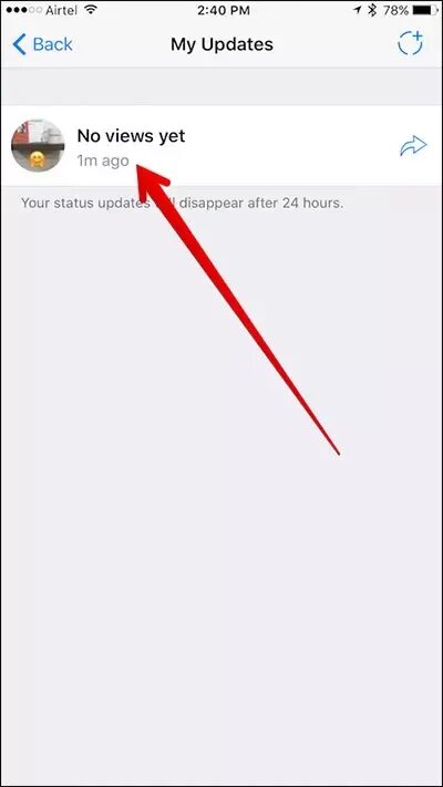 Как убрать статус на айфоне. Статус в ватсап на айфоне. Статус про айфон. Как добавить статус в ватсап на айфоне. Как сделать статус в ватсапе на айфоне.