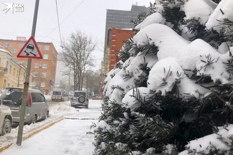 Годы без снега
