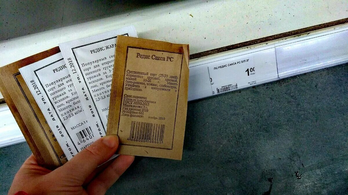 История денежных единиц. Происхождение российского рубля. Почему рубль такой дешевый. Первая монета 1654 года. Почему рубль такой дешевый.