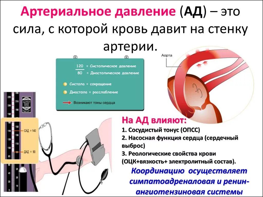 Артериальное давление этт. Ад в медицине расшифровка. Классификация уровня артериального давления по воз. Верхнее и нижнее давление. Ад в медицине расшифровка.