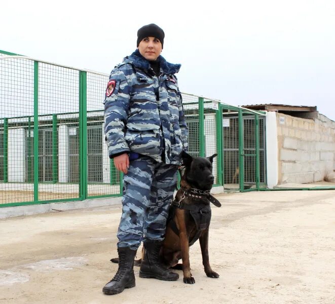 Цкс увд по сао. Юлия ганицкая кинолог. Кинологи мвд россии. Младший инспектор кинолог. Полицейский кинолог.