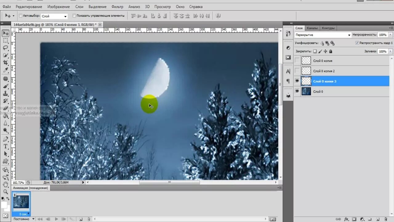 фильтр на фото анимация. анимационные фильтры для. анимированные фильтры. фильтрование гиф. фильтрация гиф.