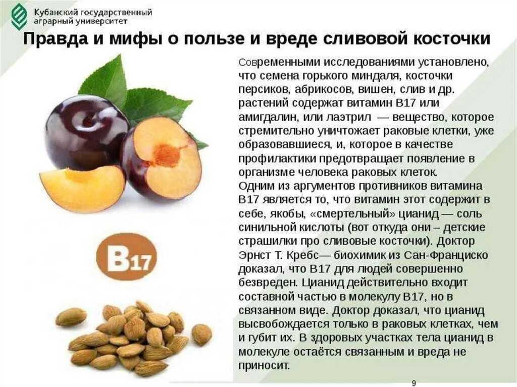 Витамин 17 в каких продуктах содержится. Витамин в17. Витамин в17 в каких продуктах содержится. В чем содержится витамин в17. B17 витамин.