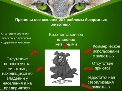 Защита проблемы проекта