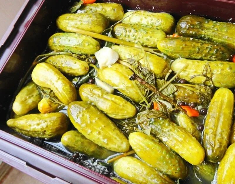 Огурец бочковой засол. Огурцы бочковой засол седек. Огурцы бочковой засол седек. Огурец бочковой. Огурец чудо уральский дачник.