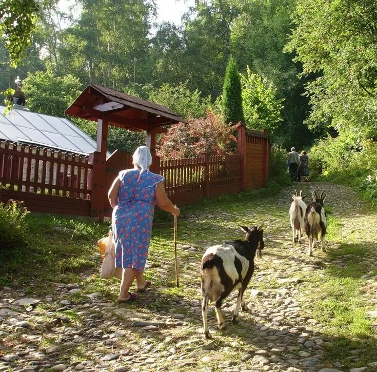 Life in the village 3. Деревенская жизнь. Жизнь в деревне. Люди в деревне. Повседневная деревенская жизнь.