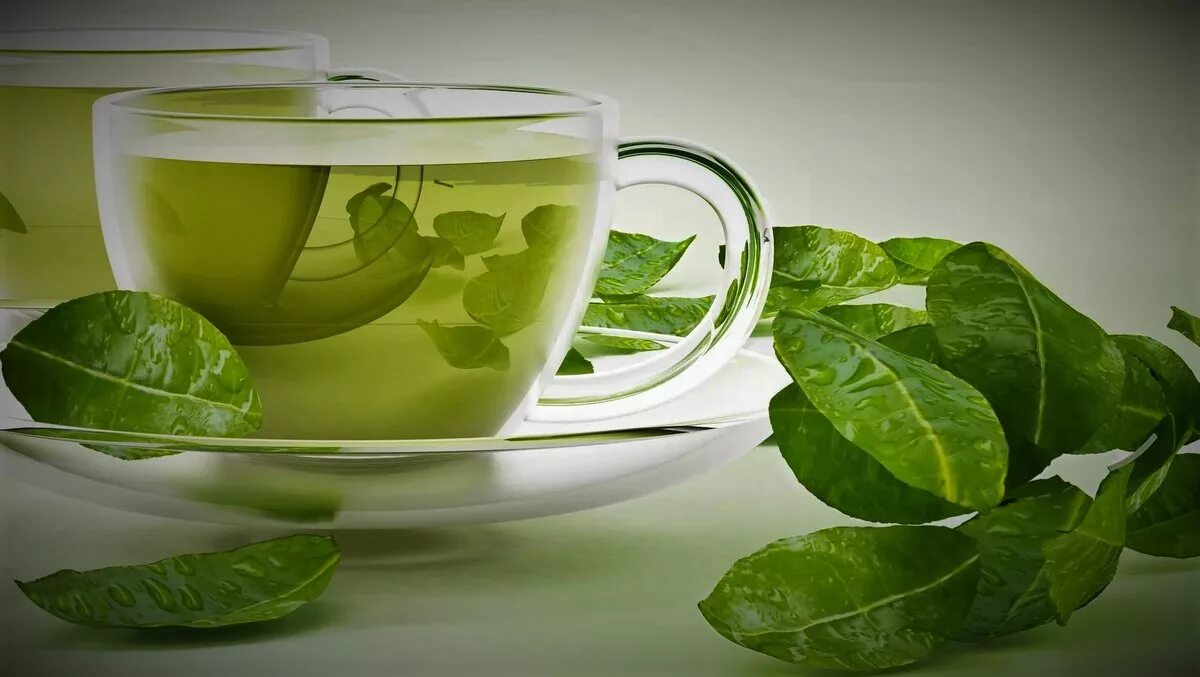 Чем полезен зеленый чай для организма. Зеленый чай. Чашка зеленого чая. Черный и зеленый чай. Чашка чая с бергамотом.
