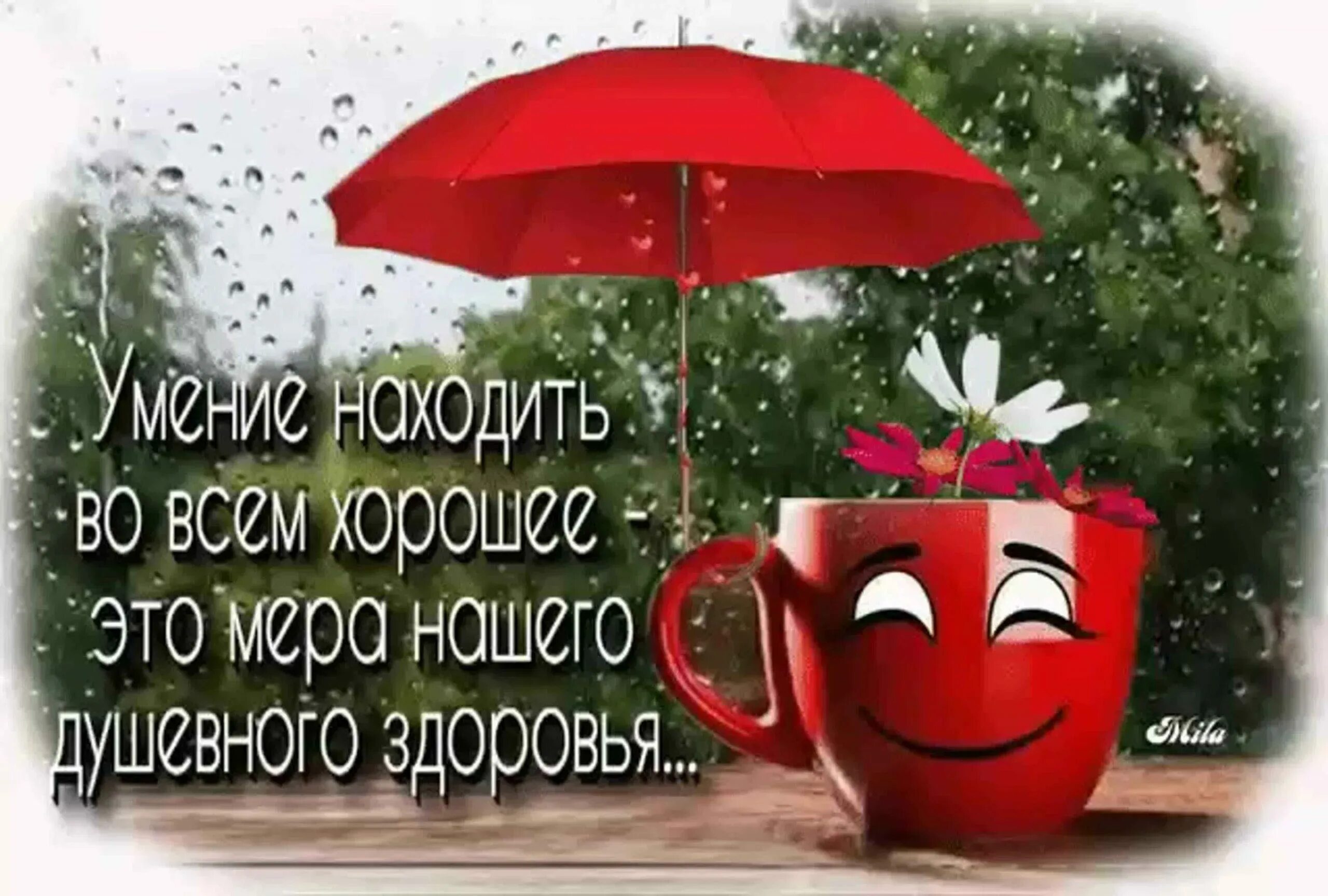 Хорошего настроения в любую погоду. Доброе дождливое утро. Доброе утро в любую погоду. Хорошего утра в любую погоду. Доброе утро несмотря