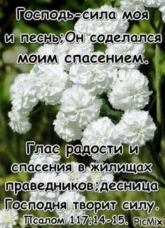 Радость в господа