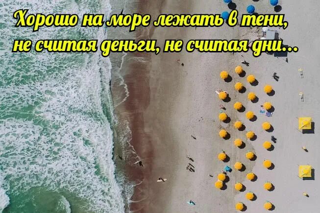 Статусы про лета прикольные. Статусы про лета прикольные. Смешные фразы про лето. Смешные статусы про лето. Смешные высказывания о лете.
