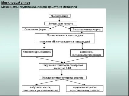Действие метилового спирта на человека
