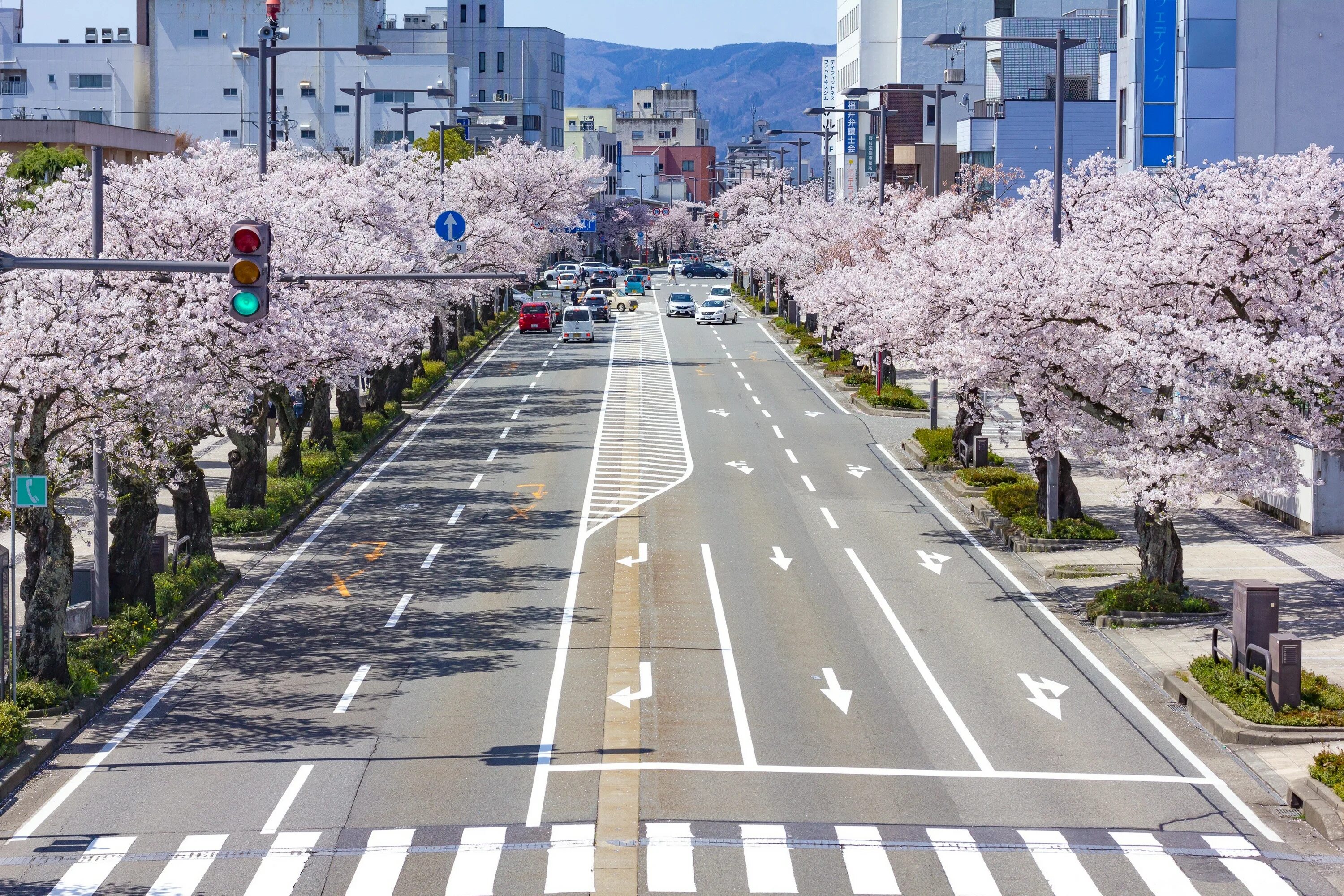 Yellow spring road япония. Токио, Япония. Дорога. Япония Токио Street. Токио улицы Сакура. Токио автомагистраль.