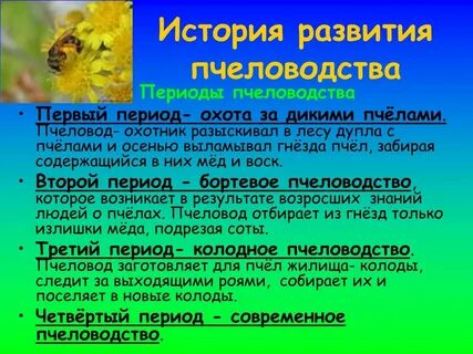 Когда появляются пчелы