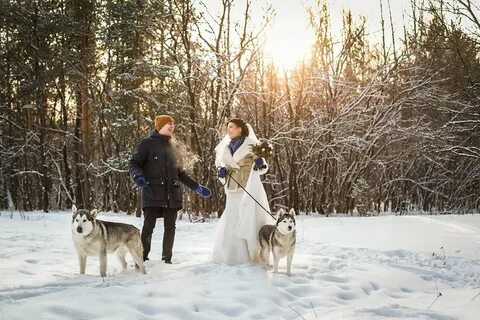 Прогулка с хаски