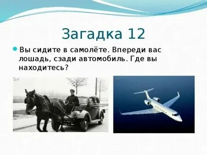 Загадка сижу на дереве кругла как шар