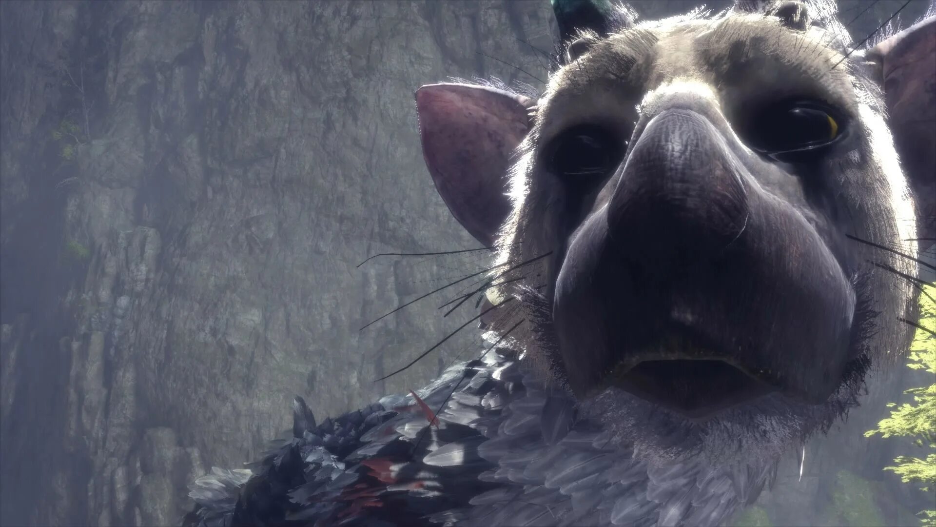 The last Guardian. Трику the last Guardian. Трико зе ласт гуардиан. Трико игра the last Guardian.