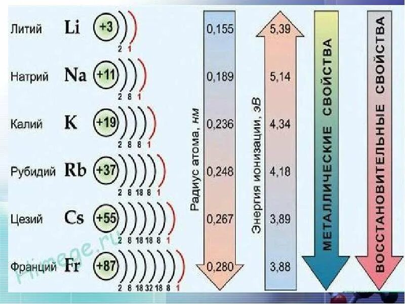 Наибольший радиус имеет элемент. Щелочные металлы. Электронное строение щелочных металлов. Строение щелочных металлов. Схема строения щелочного металла.