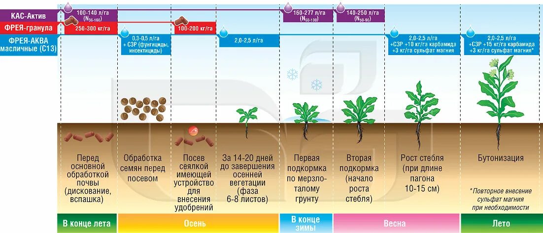 Какие минеральные удобрения нужно вносить. Схема удобрения. Схема внесения удобрений. Минеральные удобрения схема. Таблица внесения удобрений.