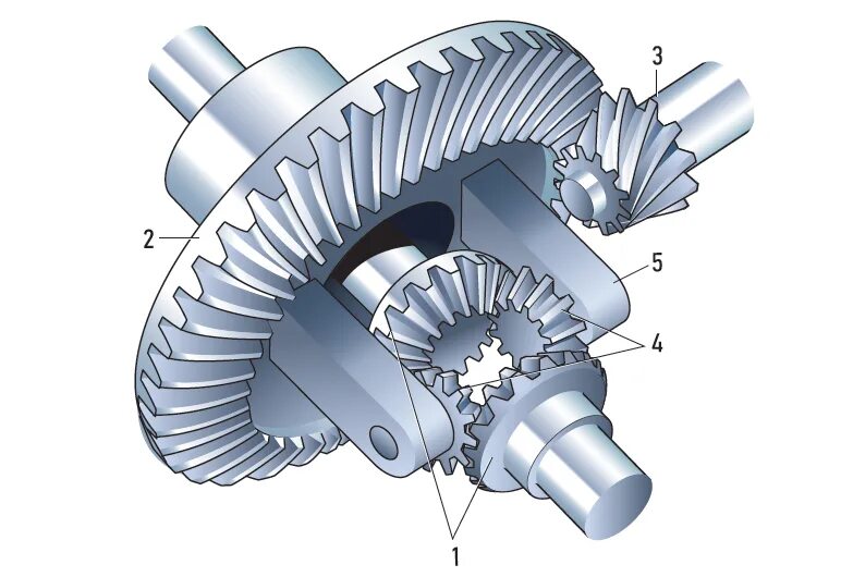 Главная передача дифференциал Сателлит. Дифференциал заднего моста автомобиля. Устройство редуктора заднего моста автомобиля. Ведомая шестерня дифференциала. Устройство и работа дифференциала