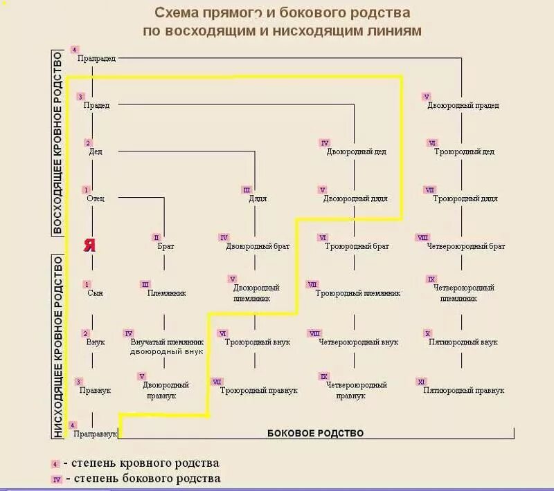 Родственные связи схема родства. Родственные связи схема троюродные братья. Схема родственных связей двоюродных сестер. Схема родственных связей в семье. Состою в родственных отношениях