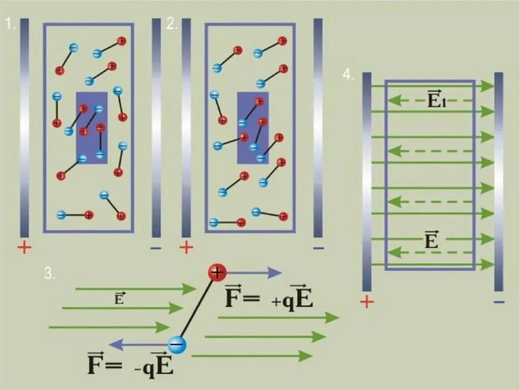 Диэлектрики в электростатическом поле поляризация диэлектриков. Напряженность электрического поля с диэлектрической проницаемостью. Диэлектрики в электростатическом поле поляризация диэлектриков. Диэлектрики в электростатическом поле поляризация диэлектриков. Поляризация неполярных диэлектриков.