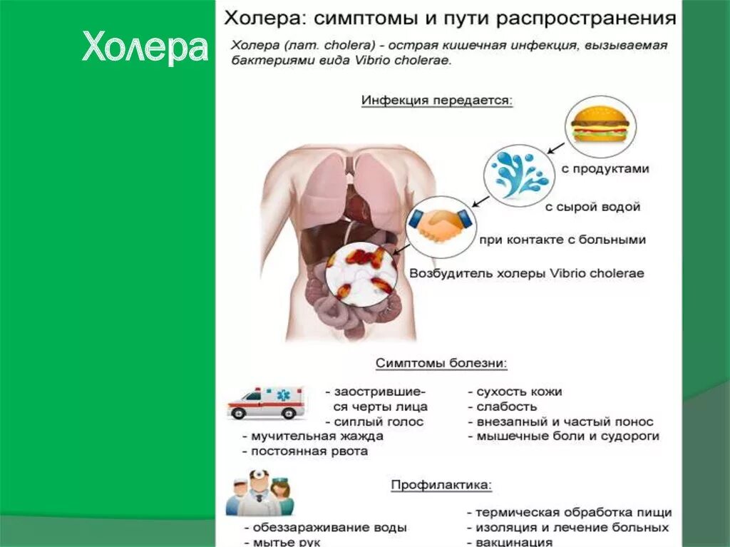 Как передается холера