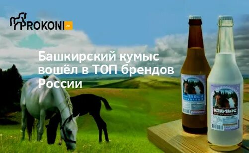 Кумыс сколько градусов. Кумыс градус. дед кумыс. кумыс топ. кумыс ру.