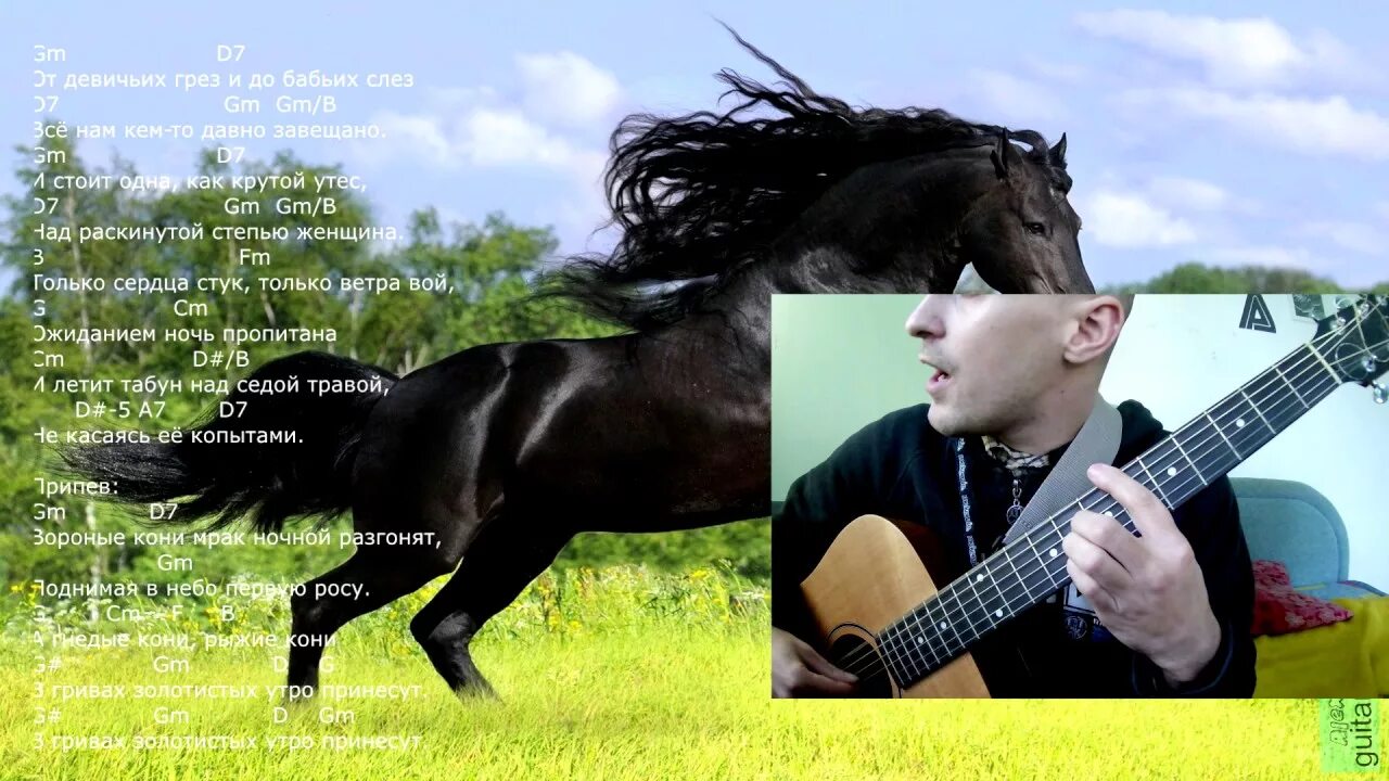 Купи коня песня. Конь на гитаре. Песня про лошадь. Вороные кони Дятлов.
