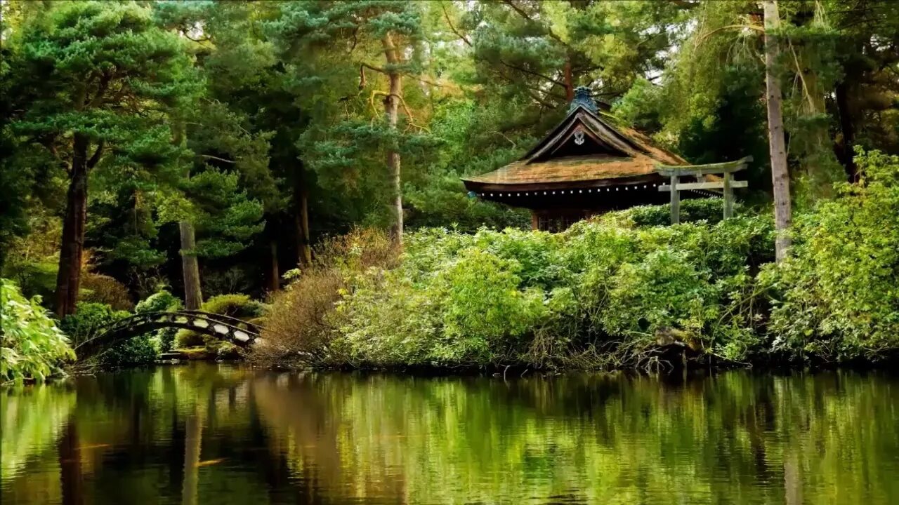 Япония природа обои. Japan atmosphere. Японский релакс. Relax japan. Relax japan.