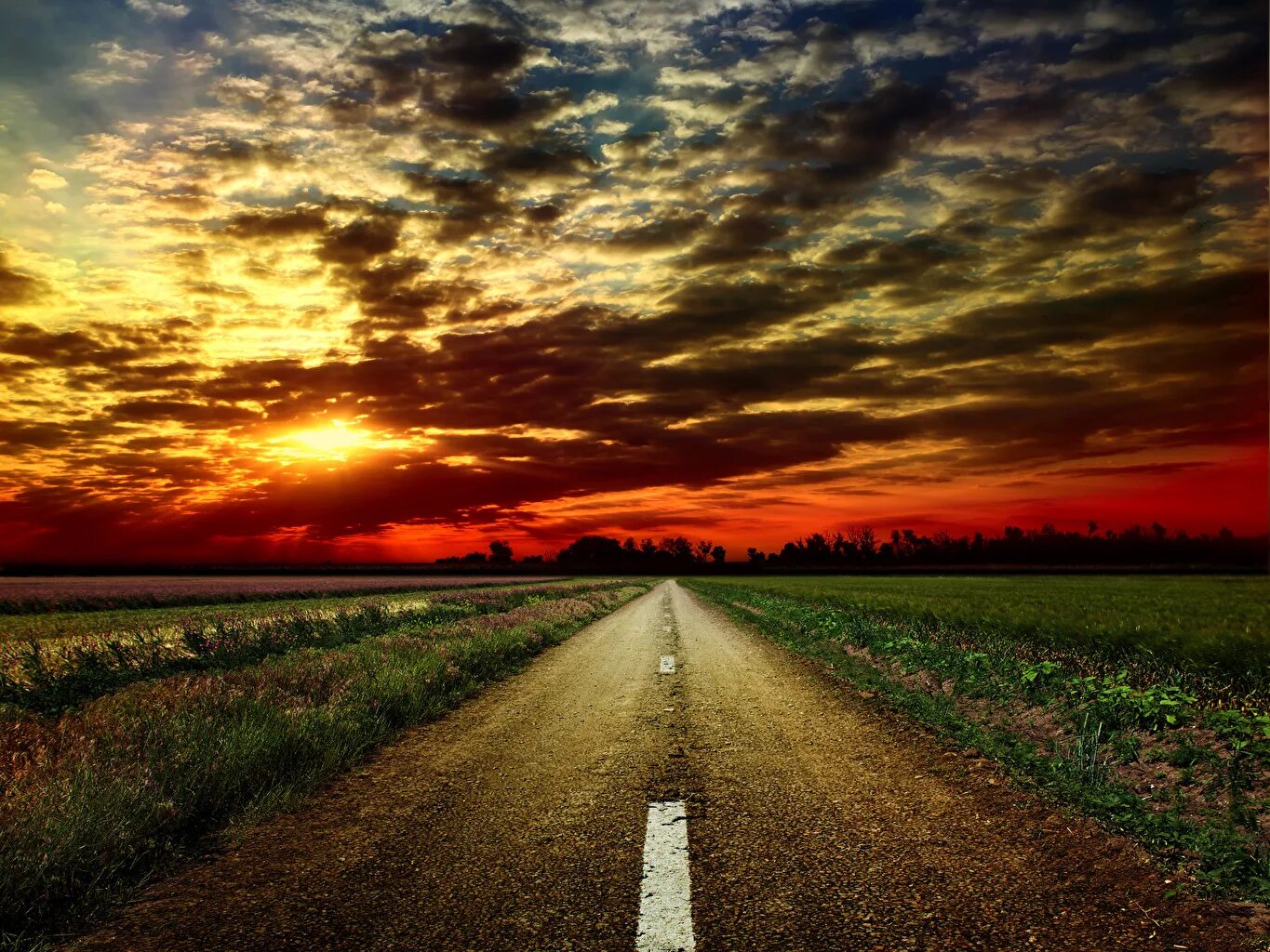 Уходящая в путь фрирен. Уходящая в путь фрирен. Уходящий человек. Уходит в даль. Дорога уходящая в никуда.