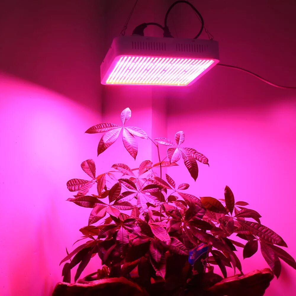 Фито светильник для растений. "Полный спектр - 20 ватт". Фитолампа grow Light 40 Вт. Led grow Light 400w. Led лампы для растений 600w 220v. Розовый свет для рассады