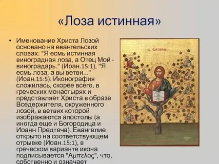 Ты есть моя лоза святая