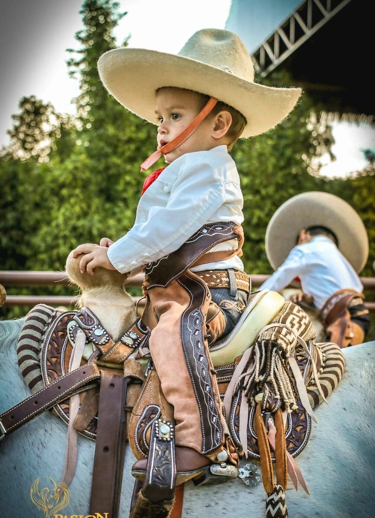 Мексиканские ковбои. Charro Mexico. Мексика Ковбои. Мексиканец ковбой. Мексиканский мальчик.