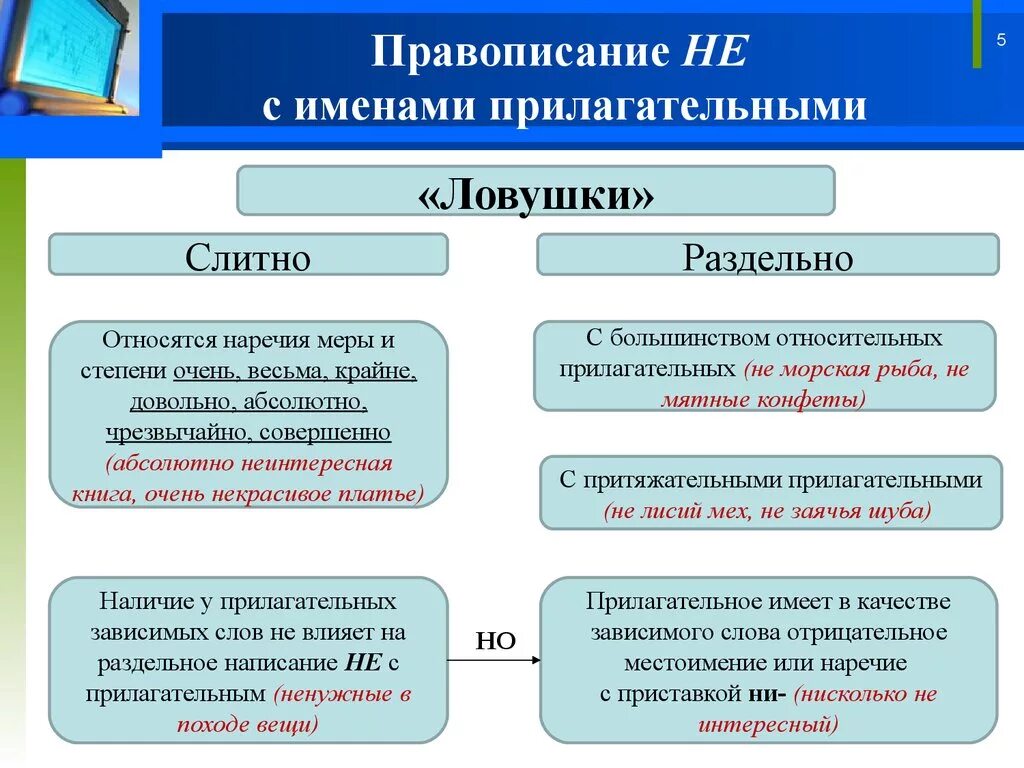 Правописание не с прилагательными 5 класс