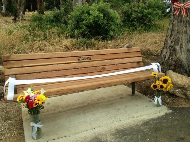 установили лавочку. открыли скамейку. торжественно открыли лавочку. открытие скамейки в сямже. скамейка театр.