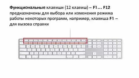Не работает одна кнопка на клавиатуре