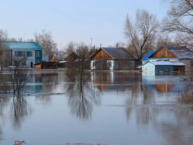 Точная погода петропавловское алтайского края. Петропавловск Алтайский край. Петропавловка Алтайский край. Новообинка Алтайский край. Петропавловский район Алтайский край.