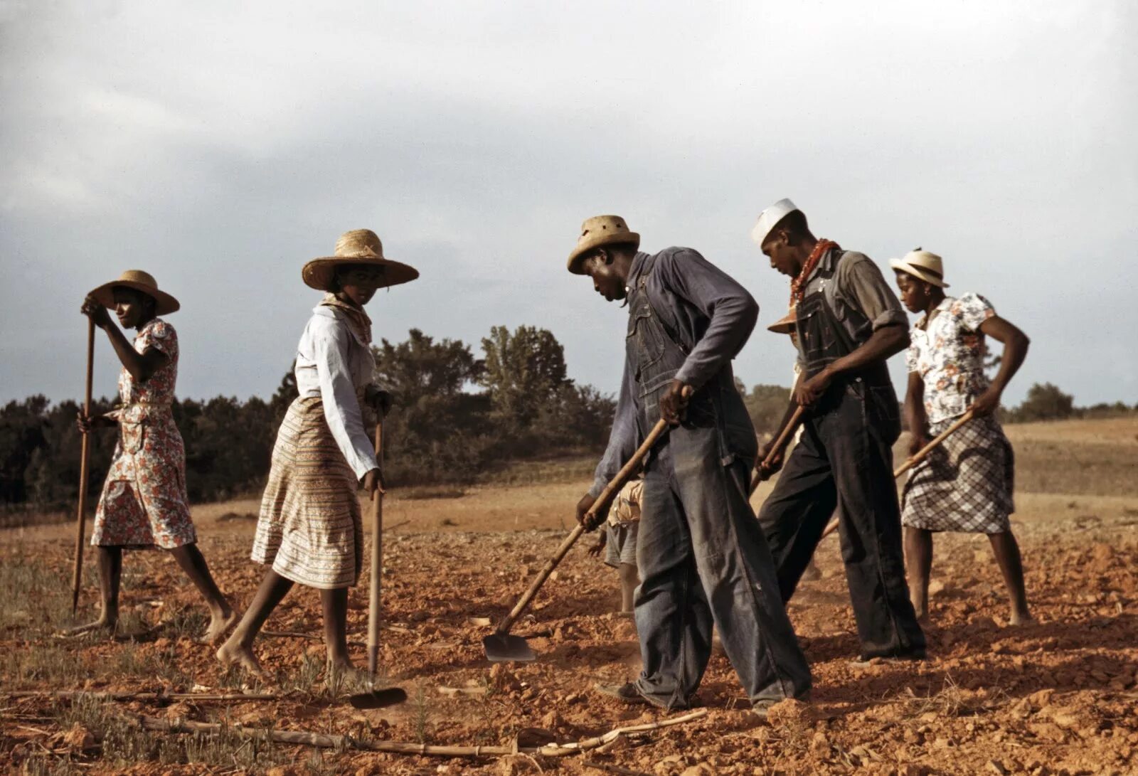 Нигенигеры на плантациях. Рабы в поле. Работать на плантации. Работать на плантации. Работать на плантации.