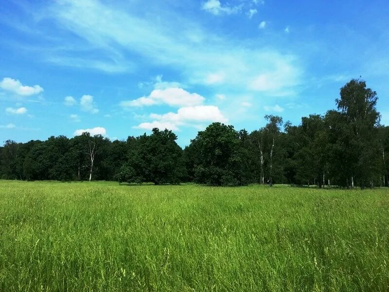 участок покровской рощи. сп земельные участки. земельный участок в деревне. лобаново ступинский район. обособленные земельные участки.
