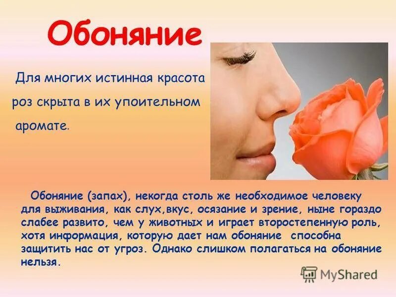 Какой обаяние. Обоняние. Чувства человека обоняние. Презентация на тему обоняние. Проект на тему органы обоняния.