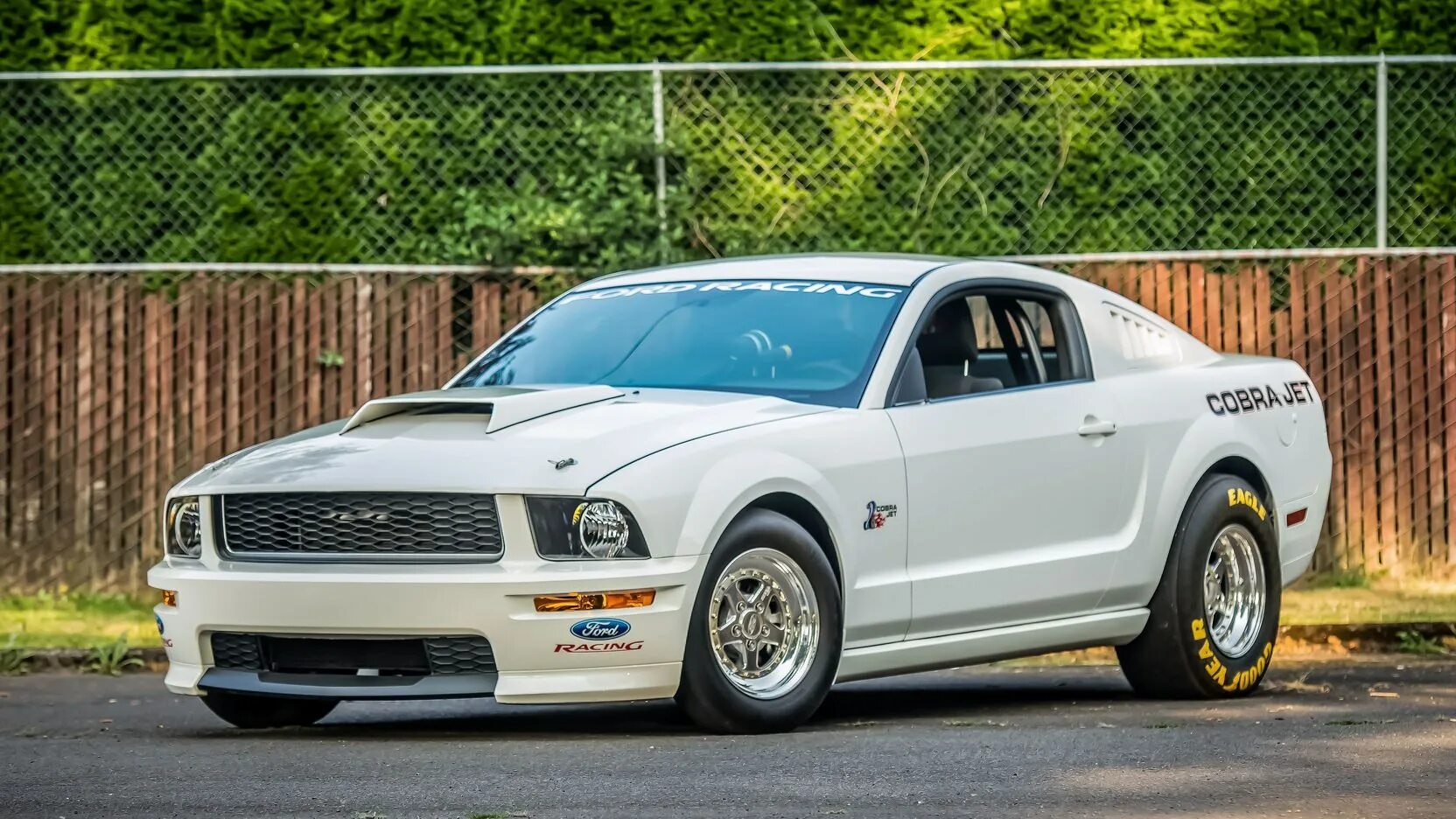 Mustang cobra. Форд Мустанг Кобра. Форд Мустанг Кобра 2008. Ford Mustang SVT Cobra. Форд Мустанг Кобра 2000.