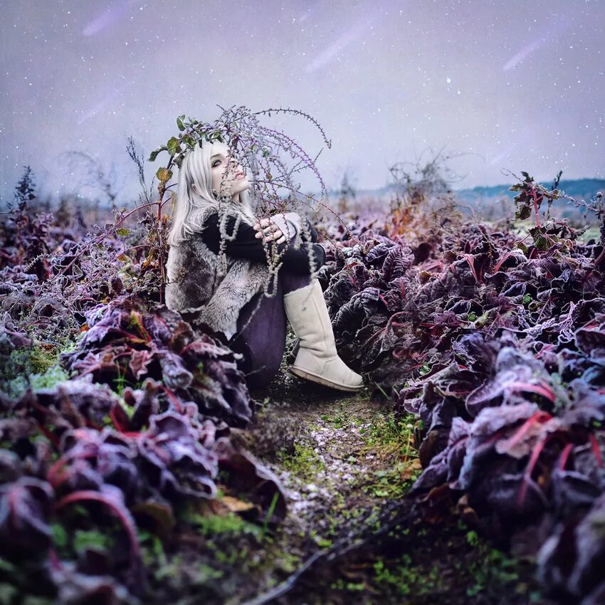 сюжет атмосферное. мэтт моллой. атмосферные фото. атмосферные работы. атмосферные картинки.