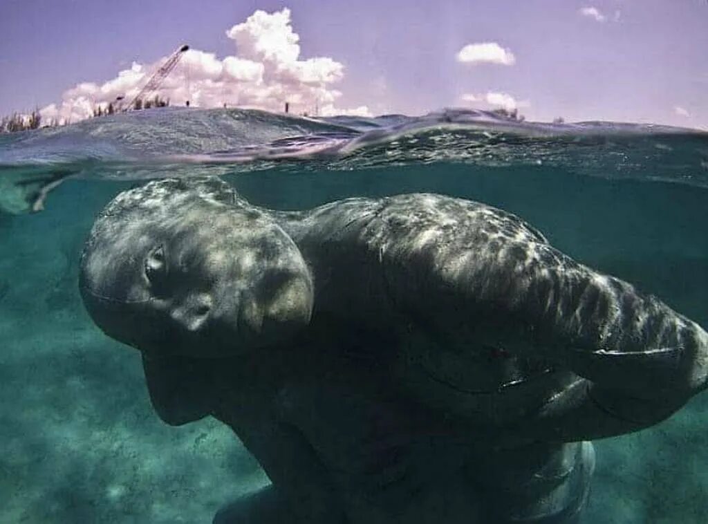 Большие существа в океане. Океанский Атлант подводная статуя. Океанский Атлант Багамские острова. Подводный Атлант на Багамах. Статуя под водой Атлант, Багамы.