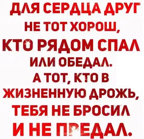 Для сердца друг не тот хорош кто рядом спал или обедал. Для сердца друг не тот хорош кто рядом спал или обедал картинки. Сердечный друг. Не тот твой друг кто рядом спал или обедал. Фото цитаты.. Друг сердечный это