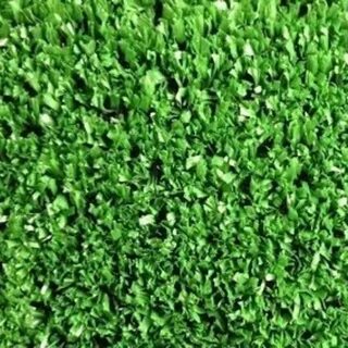 Grass 10