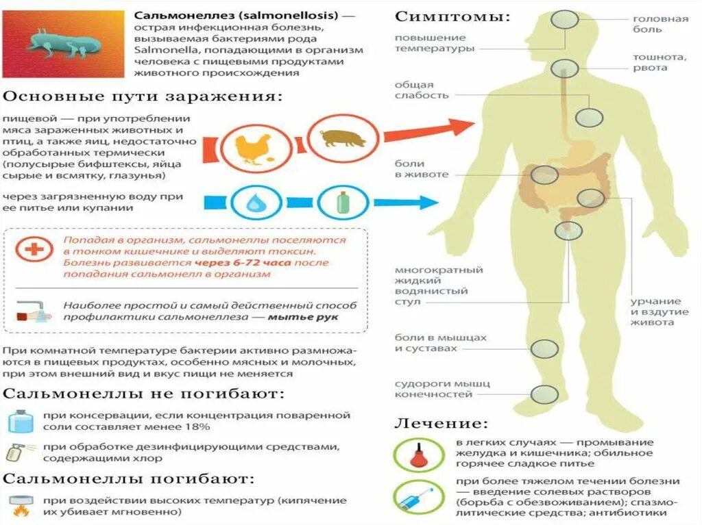 Сальмонеллез признаки осложнений. Сальмонеллез схема заражения. Сальмонелла последствия и осложнения. Сальмонеллы осложнения. Генерализованная форма сальмонеллеза