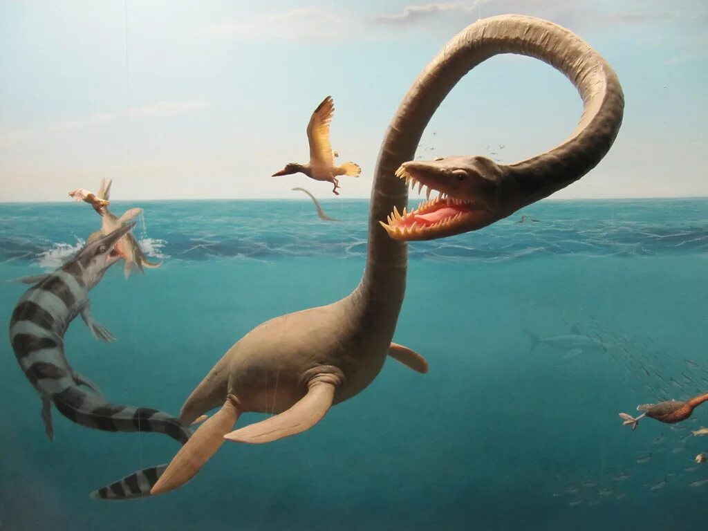 Динозавр живущий в воде. Плезиозавр Лохнесское чудовище. Лохнесское чудовище динозавр. Эласмозавр. Мозазавр Эласмозавр.