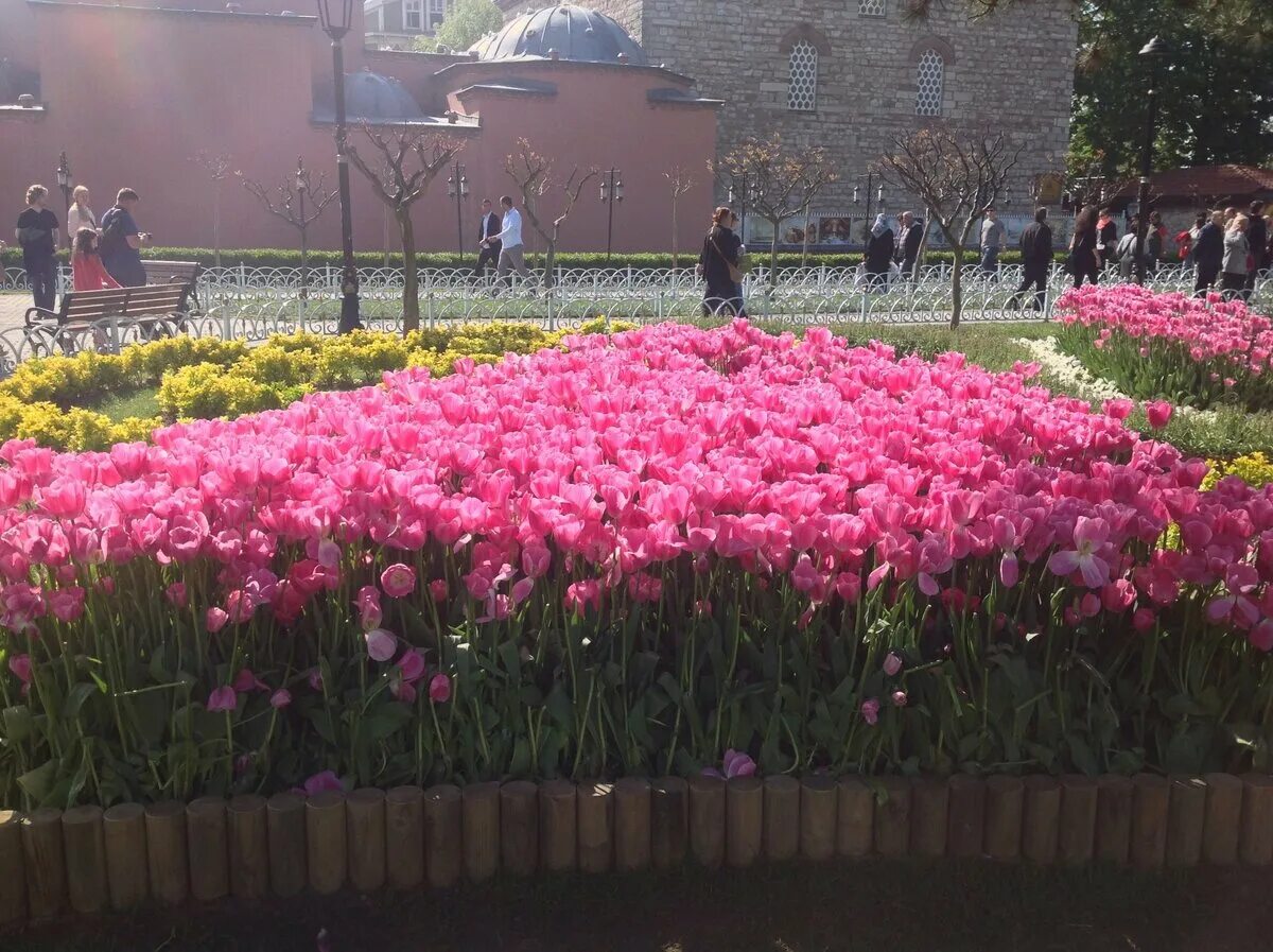 Праздники в стамбуле 2024. Парк Эмирган фестиваль тюльпанов. Парк Эмирган в Стамбуле фестиваль тюльпанов. Фестиваль тюльпанов в Стамбуле 2024. Стамбул фестиваль тюльпанов Султанахмет.