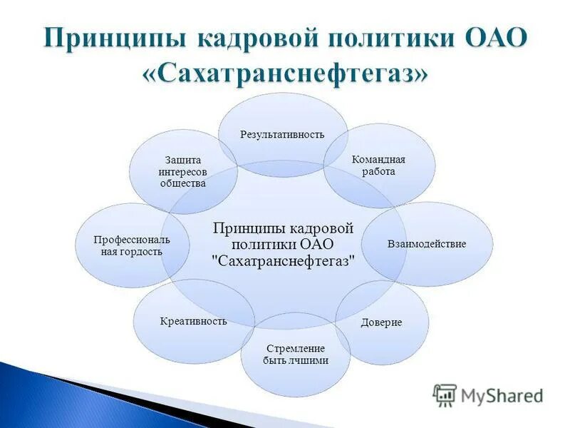 основные принципы кадровой политики организации. принципы кадровой политики. основные принципы кадровой политики. алгоритм формирования кадровой политики. принципы кадровой политики.